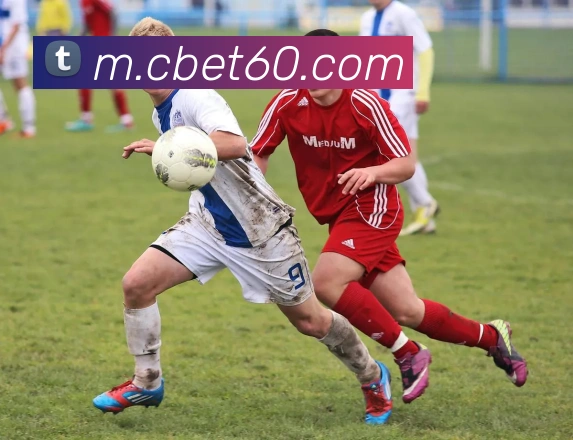 平台使命图